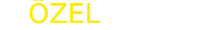 Özel Birey